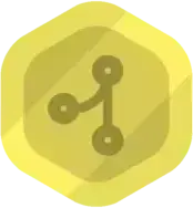 Code Contributor